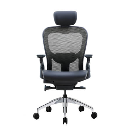 เก้าอี้เพื่อสุขภาพ DF PROCHAIR รุ่น Wonder-H สีดำ_0